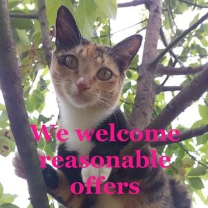 Welcoming Reasonable Offers, Don't be Shy!